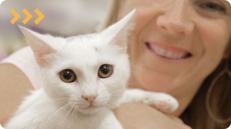 petsmart adoption